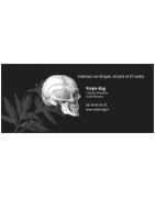 cheque cadeau vinyle-bag